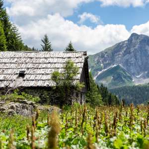 Wandern